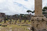 ILCE-6500-20190518-DSC05456 : 2019, Forum of Caesar, Italy, Rome
