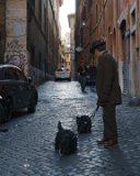 ILCE-6500-20190519-DSC05885 : 2019, Italy, Rome