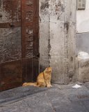 ILCE-6500-20190521-DSC06131 : 2019, Amalfi Coast, Italy, Sorrento