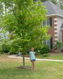 E8700-20070826-DSCN4241 : 1st Day of School, 2007, Alison, school