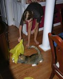 E8700-20100815-DSCN6565  Leslie Siphers plays with Jazz the cat : 2010, Jazz cat, Leslie, animals, birthday