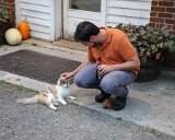 IMG 0103  Palisades Restaurant 168 Village St, Eggleston, VA 24086 : 2017, Animals, Holly & George Wedding, cat