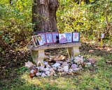 IMG 0195 : 2017, Holly & George Wedding