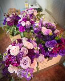 DSC 2040 : 2017, Holly & George Wedding