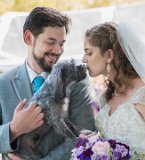 DSC 2547 : 2017, Holly & George Wedding