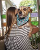 ILCE-6500-20170909-DSC00893  Celebrating Susan's & Amy's birthday 2017 : 2017, Amy, Canon FD 17mm 1:40 SSC, Lens, Pipa dog, birthday