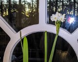 128-2863 IMG-S10 : 2003, Christmas