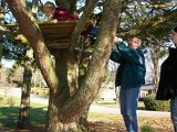 E8700-20041229-DSCN0863  Mike and Alison play in the treehouse and yard : 2004, Alison, Christmas, Holly, Mike