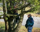 E8700-20041229-DSCN0868  Mike and Alison play in the treehouse and yard : 2004, Alison, Christmas, Mike