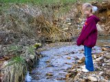 E8700-20041229-DSCN0876  Alison plays in the creek with ice at Dad's house : 2004, Alison, Christmas
