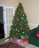 E8700-20101225-DSCN6692 : 2010, Christmas, tree