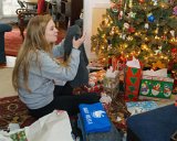 ILCE-6500-20171225-DSC01056 : 2017, Alison, Christmas