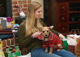 ILCE-6500-20171225-DSC01080 : 2017, Alison, Christmas, Pipa dog, animals