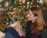 ILCE-6500-20181225-DSC04055 : 2018, Christmas, Leslie, Pipa dog, animals