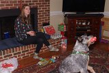 ILCE-6500-20211223-DSC07585 : 2021, Alison, Christmas, Salsa dog, animals