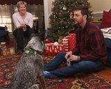ILCE-6500-20211223-DSC07588 : 2021, Christmas, Lois, Rob Decker, Salsa dog, animals