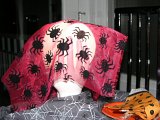 E8700-20071020-DSCN4341 : 2007, Halloween