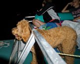 ILCE-6000-20170703-DSC03826 : 2017, July 4th, Kai, Lake Gaston