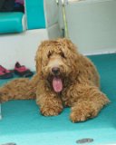 ILCE-6500-20170704-DSC00540 : 2017, July 4th, Kai, Lake Gaston