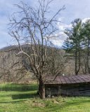 ILCE-6000-20151227-DSC02381 : 2015, Dad's House, Thanksgiving, barn