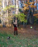 ILCE-6500-20191128-DSC06903 : 2019, Leslie, Pippa, Thanksgiving, animals