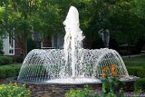 Fountain 1  Spider nest in backyard : Charlotte, Siphers, fountain