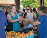 ILCE-6000-20150822-DSC00102 : 2015, Farmers Market, Lois, vegitables