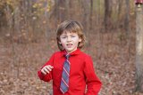 ILCE-6000-20151213-DSC02292 : 2015, Christmas card, Reese Hammer