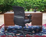 ILCE-6500-20180728-DSC02892