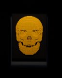 ILCE-7M4-20230626-DSC03577 : 2023, Art of the Brick Expo, Lego, Raleigh