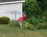 Picking peas for Steve : 2023, Martha