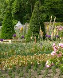 E8700-20060612-DSCN3130 : 2006, Amboise, Chenonceau, France, _year_