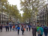 Barcelona - Les Rambles : 2015, Barcelona, Spain