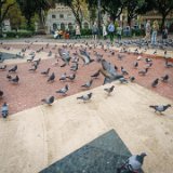 Barcelona - Placa de Catalunya : 2015, Barcelona, Spain