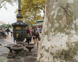 Barcelona - Les Rambles : 2015, Barcelona, Spain