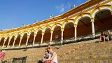 Sevilla - Grand Royal Bullring  Plaza de Toros de la Real Maestranza de Caballería de Sevilla. Grand royal bullring dating to 1761, still used for bullfights, plus museum of bullfighting art. : 2015, Sevilla, Spain, bullring
