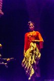 Sevilla - Flamenco  Flamenco show in Sevilla : 2015, Sevilla, Spain, flamenco