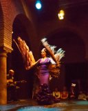 Sevilla - Flamenco  Flamenco show in Sevilla : 2015, Sevilla, Spain, flamenco