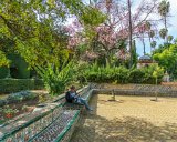 Sevilla - Real Alcazar de Sevilla  Royal palace in Seville, Spain, originally developed by Moorish Muslim kings. : 2015, Real Alcazar, Sevilla, Spain