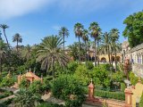 Sevilla - Real Alcazar de Sevilla  Royal palace in Seville, Spain, originally developed by Moorish Muslim kings. : 2015, Real Alcazar, Sevilla, Spain