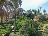 Sevilla - Real Alcazar de Sevilla  Royal palace in Seville, Spain, originally developed by Moorish Muslim kings. : 2015, Real Alcazar, Sevilla, Spain
