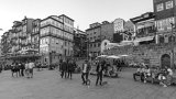 ILCE-6000-20181008-DSC04641 : 2018, Porto, Portugal, _highlights_, _year_