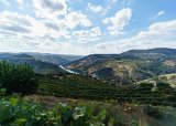 ILCE-6000-20181010-DSC04778 : 2018, D'Origem estate, Douro Valley, Portugal, _year_