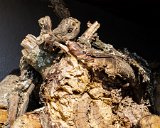 ILCE-6500-20181010-DSC03308 : 2018, D'Origem estate, Douro Valley, Portugal, _year_