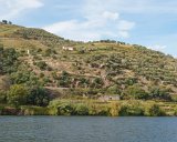ILCE-6500-20181010-DSC03337 : 2018, Doura Valley, Douro River, Douro Valley, Portugal, _year_