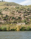 ILCE-6500-20181010-DSC03338 : 2018, Doura Valley, Douro River, Douro Valley, Portugal, _year_