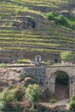 ILCE-6500-20181010-DSC03341  Quinta Do Roncao : 2018, Doura Valley, Douro River, Douro Valley, Portugal, _year_