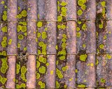 ILCE-6500-20181011-DSC03376 : 2018, Porto, Portugal, _year_