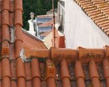 ILCE-6500-20181013-DSC03633 : 2018, Alfama, Lisbon, Portugal, _highlights_, _year_