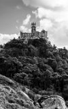 ILCE-6500-20181014-DSC03834 : 2018, Castle of the Moors (Castelo dos Mouros), Park of Pena (Parque da Pena), Portugal, Sintra, _year_